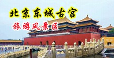嫩穴瘙痒无码中国北京-东城古宫旅游风景区
